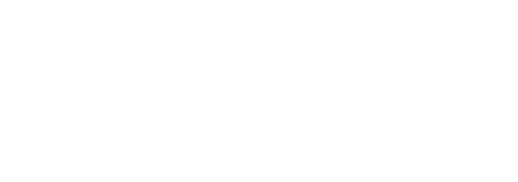 Professional support